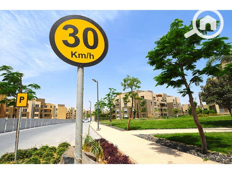 15 Palm Parks 12. jpg