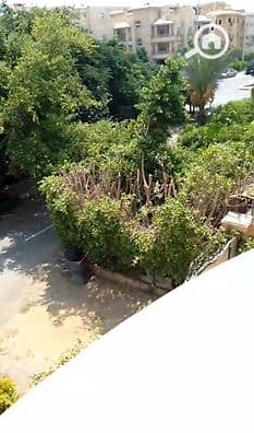 شقة 3 غرف نوم للايجار في القاهرة الجديدة، القاهرة - Screenshot 2025-07-22 231207. png