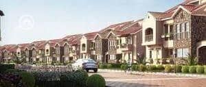 9 green square7. jpg