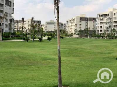 3 Bedroom Flat for Sale in Madinaty, Cairo - WhatsApp Image 2024-09-26 at 3.38. 08 PM. jpeg