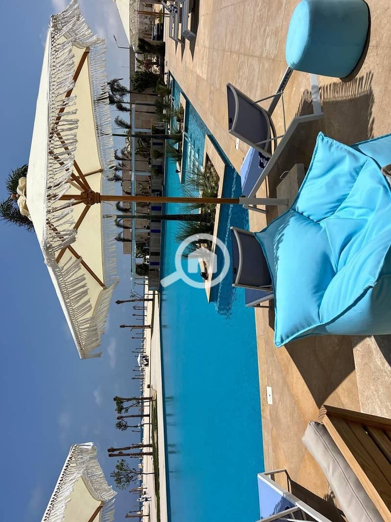 8 sea sh 8. jpg