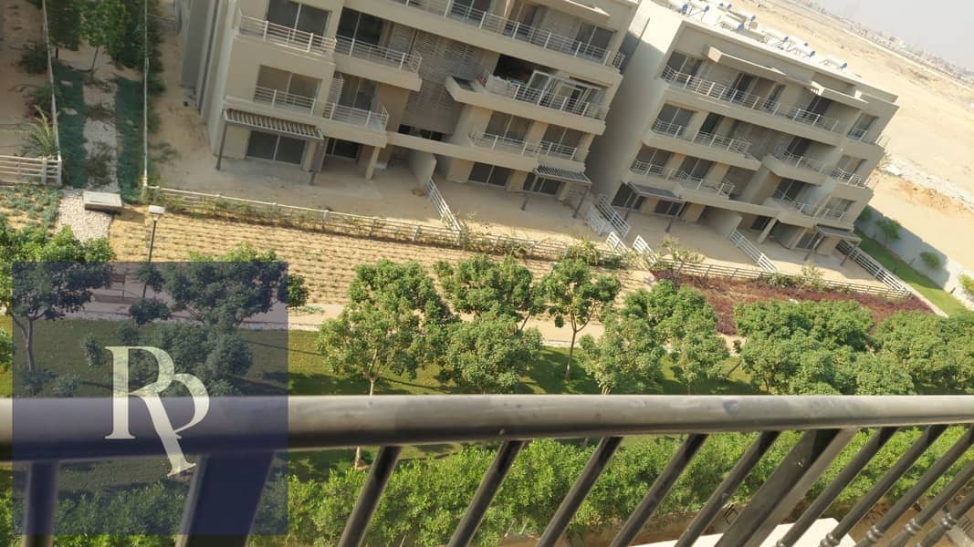 3 WhatsApp Image 2025-07-22 at 3.16. 57 AM (2). jpeg