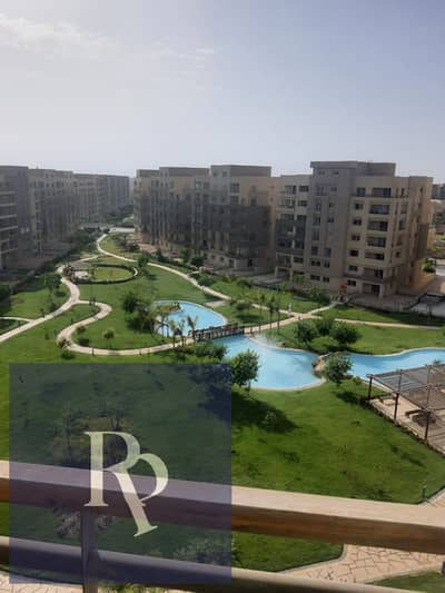 3 Bedroom Apartment for Sale in New Cairo, Cairo - WhatsApp Image 2025-07-17 at 3.25. 31 PM. jpeg