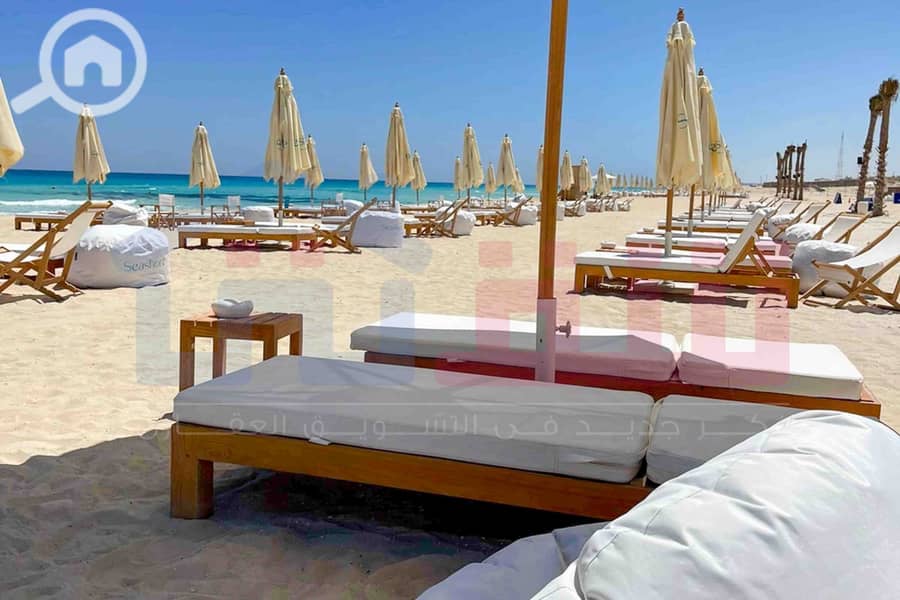 6 Seashore live shots-6ص. jpg