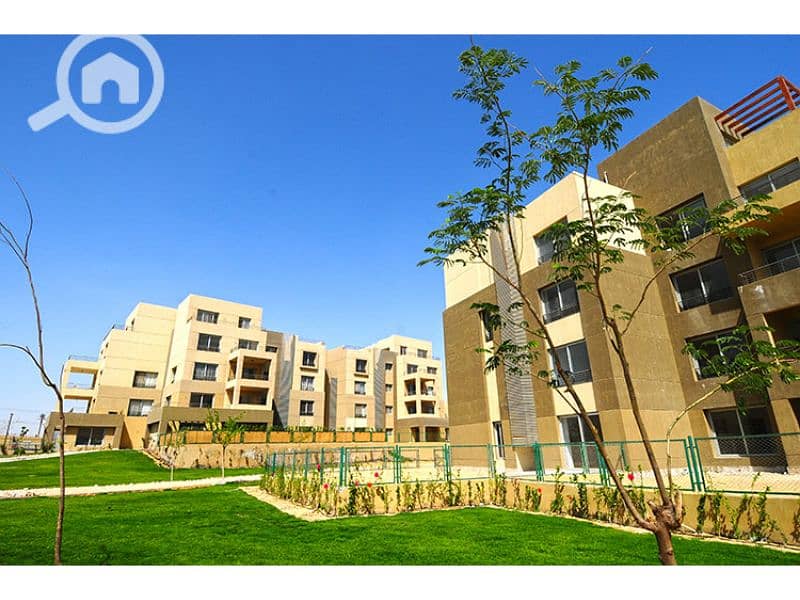 6 Palm Parks 6. jpg
