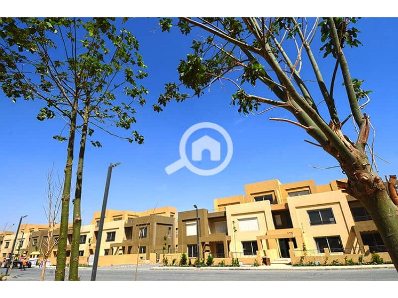 9 Palm Parks 9. jpg