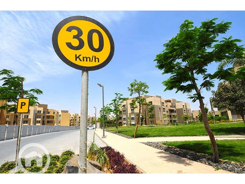 12 Palm Parks 12. jpg