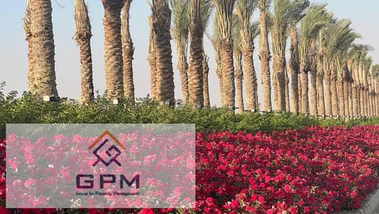 2 Bedroom Apartment for Sale in Mostakbal City, Cairo - 4dd3940c-e034-4662-9250-bcd78accf9ad. jpg