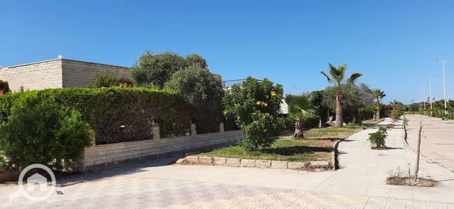 فیلا 3 غرف نوم للايجار في الساحل الشمالي، مطروح - WhatsApp Image 2025-07-23 at 8.07. 36 PM. jpeg