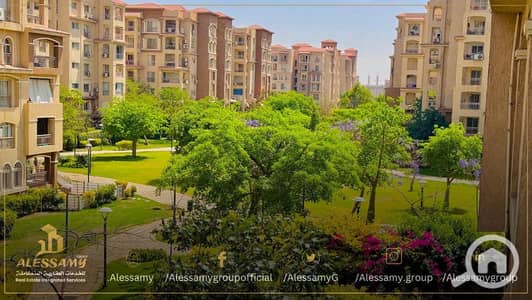 3 Bedroom Flat for Sale in Madinaty, Cairo - WhatsApp Image 2025-07-23 at 5.26. 18 PM. jpeg
