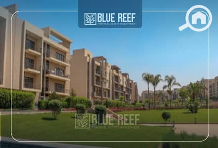 1 Bedroom Flat for Sale in New Cairo, Cairo - sfsf. jpg