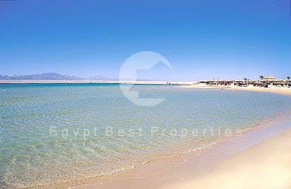 14 SomaBeach. jpg