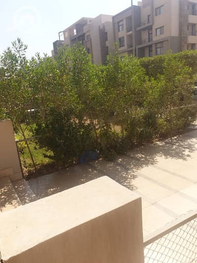 Room for Rent in New Cairo, Cairo - WhatsApp Image 2025-07-17 at 17.53. 46_ce7a9f8e. jpg