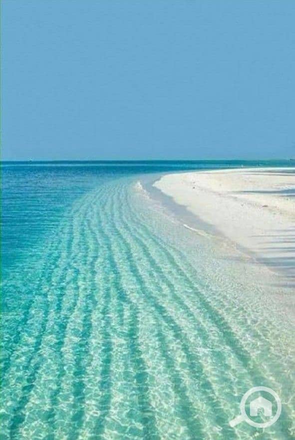 2 WhatsApp Image 2025-07-22 at 2.44. 10 PM. jpeg