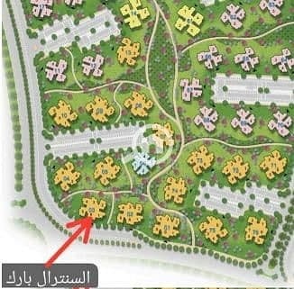 3 WhatsApp Image 2025-04-06 at 15.50. 21_f70b9f97. jpg