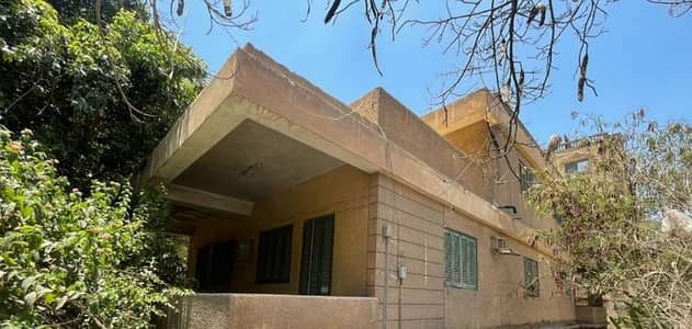 Residential Land for Sale in Nasr City, Cairo - للمستثمرين والمقاولين بسعر وموقع لن يتكرر ارض فيلا المسجلة بمدينه نصر