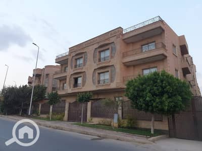 11 Bedroom Villa for Rent in New Cairo, Cairo - WhatsApp Image 2025-07-18 at 01.08. 21_d95e2658. jpg