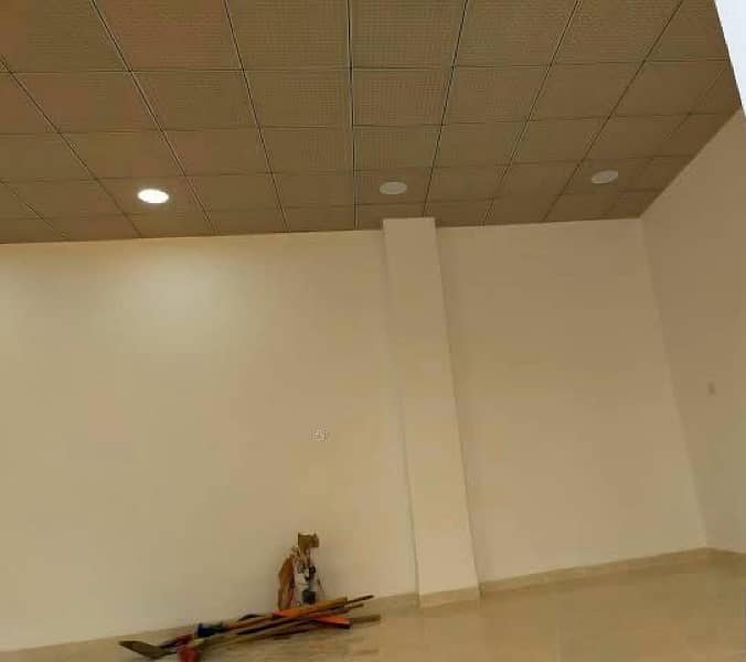 محل للبيع شارع فاطمه رشدى بالهرم محل للبيع شارع فاطمه رشدى بالهرم