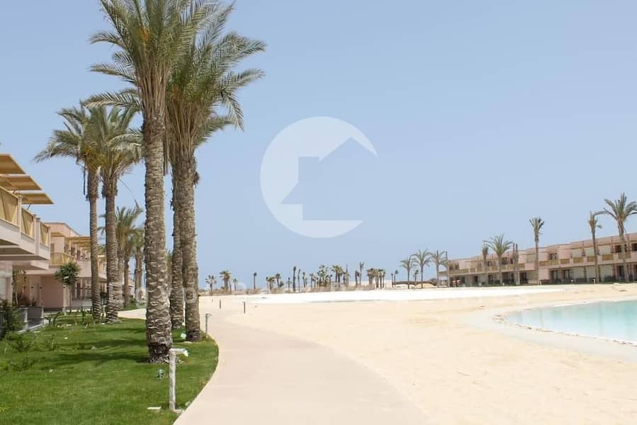 8 photo-el-alamein-12. jpeg