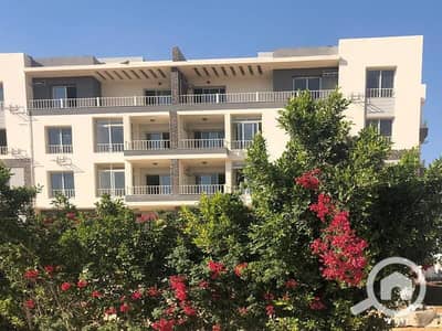 2 Bedroom Apartment for Sale in New Cairo, Cairo - c433ecb7-ff91-49bf-bbe7-6dd369df139d. jpg