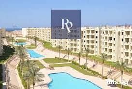 8 شسيشس. jpeg