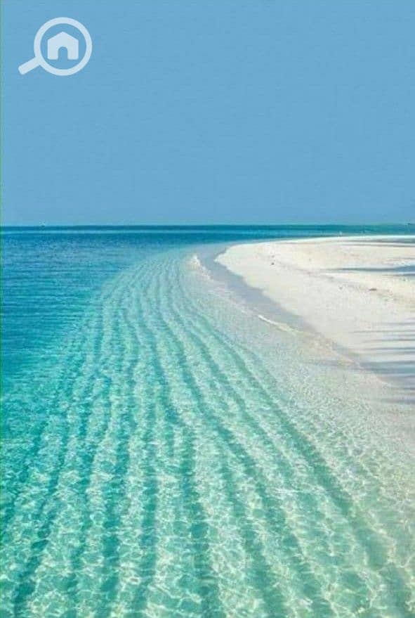 2 WhatsApp Image 2025-07-22 at 2.44. 10 PM. jpeg