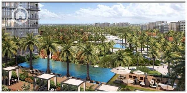 10 Zed-Sheikh-Zayed-compound. jpg