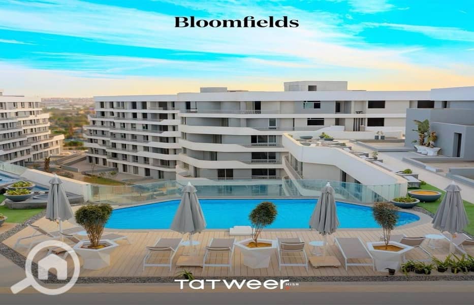 6 BLOOMFIELDS LIVE PICS_pages-to-jpg-0009. jpg