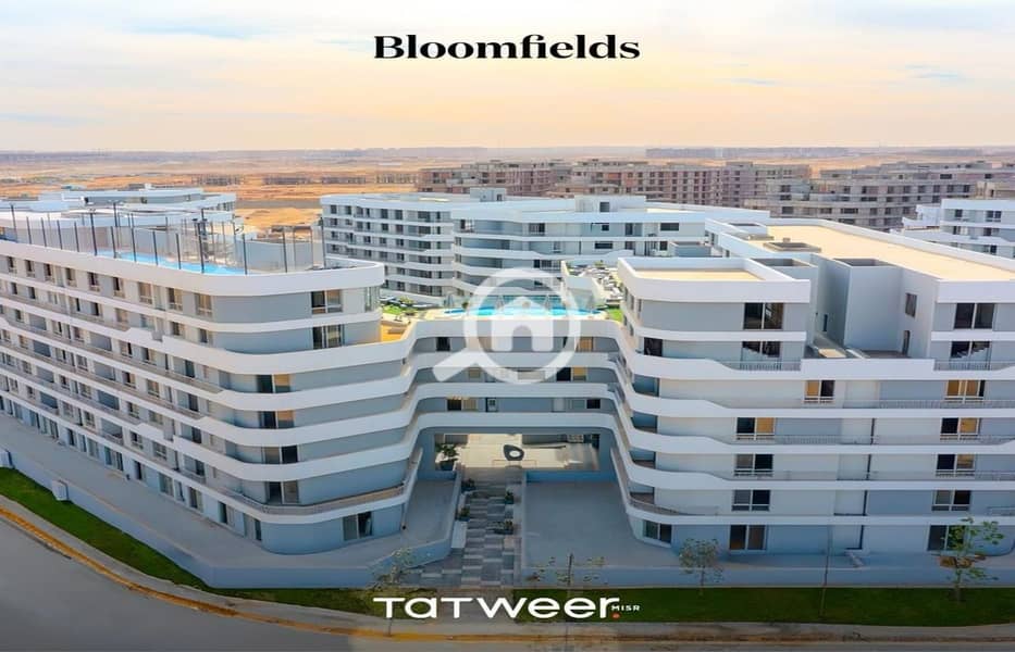 7 BLOOMFIELDS LIVE PICS_pages-to-jpg-0005. jpg