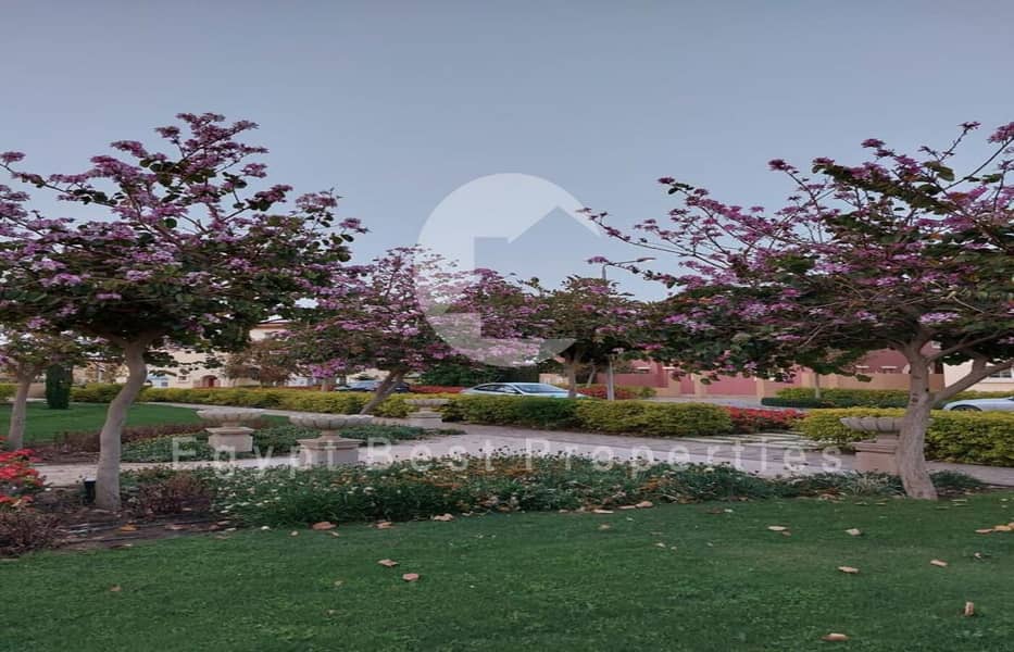 7 4. jpg