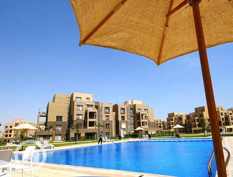 10 palm-parks-october-بالم-باركس-اكتوبر-4. jpg