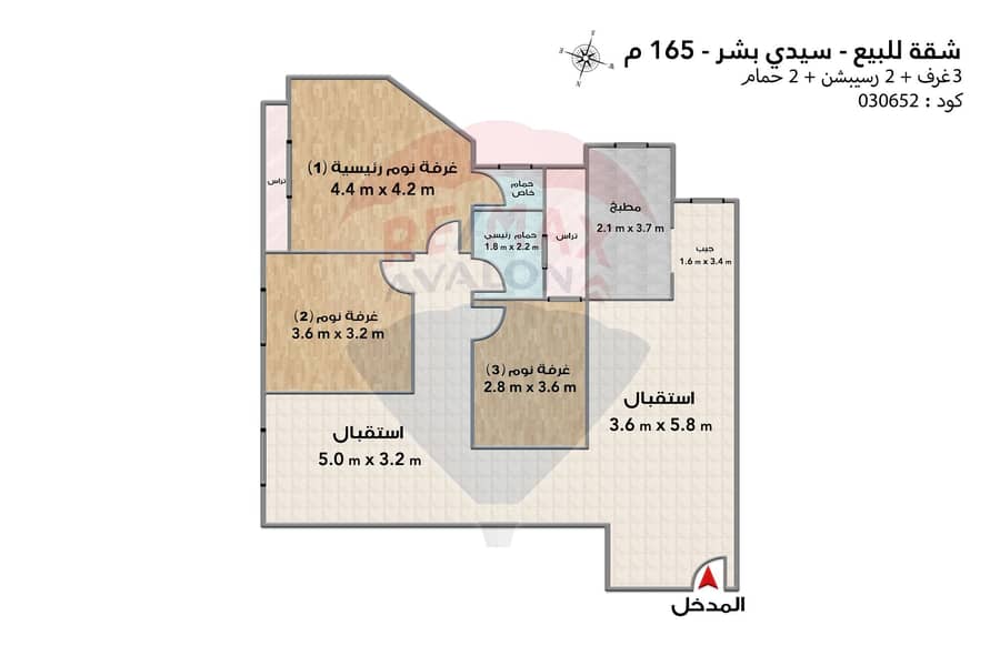 5 5. jpg