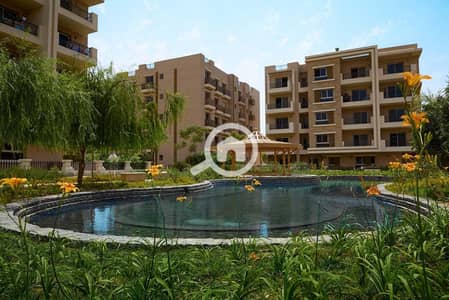 دوبلكس 4 غرف نوم للبيع في القاهرة الجديدة، القاهرة - WhatsApp Image 2023-11-11 at 17.54. 23_615cae69. jpg