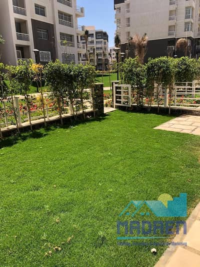 4 Bedroom Flat for Sale in Madinaty, Cairo - WhatsApp Image 2024-10-28 at 1.35. 34 PM. jpeg