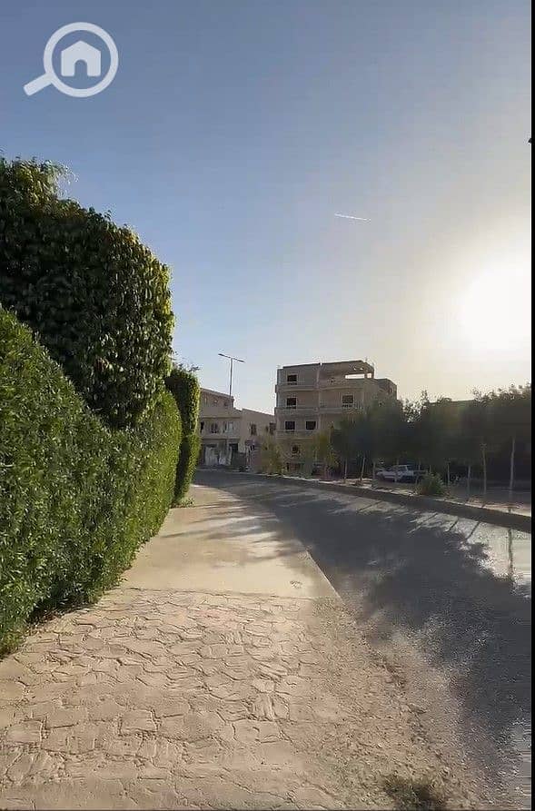 7 5. jpg