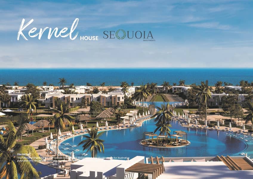 6 brochure dose june egypt_52. jpg