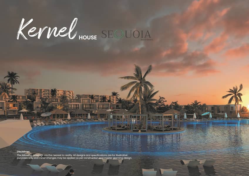 7 brochure dose june egypt_53. jpg