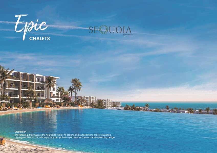8 brochure dose june egypt_54. jpg