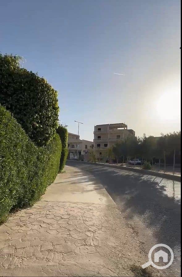 11 5. jpg