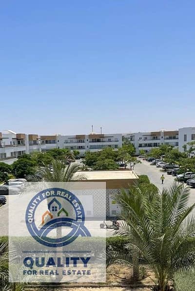 2 Bedroom Apartment for Sale in North Coast, Matruh - 2. jpg