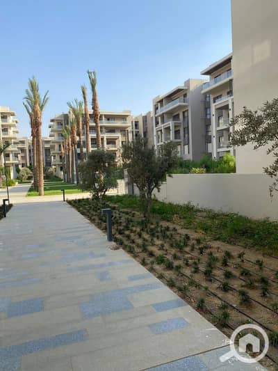 2 Bedroom Apartment for Sale in New Cairo, Cairo - 3e228f6b-e3fb-4710-8124-5479a36dfcca. jpg