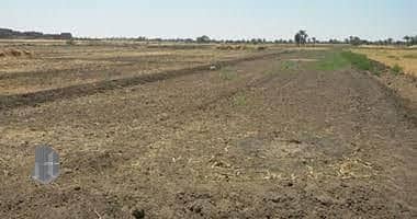 Residential Land for Sale in Sheikh Zayed, Giza - WhatsApp Image 2025-07-29 at 3.10. 25 PM. jpeg