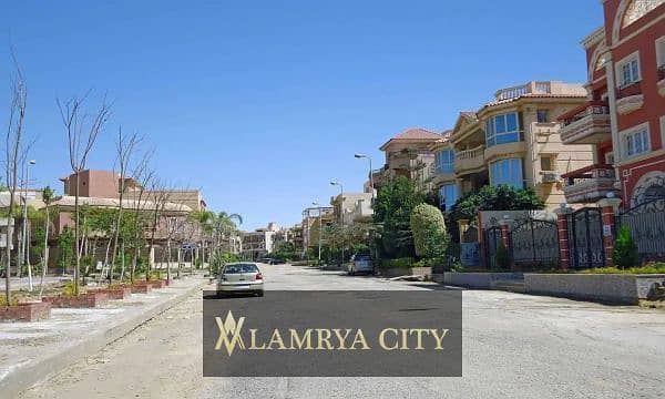 5 النرجس الجديده2. jpg