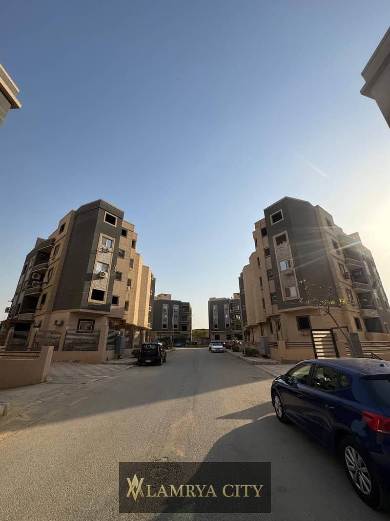 11 النرجس الجديده اماني1. jpg