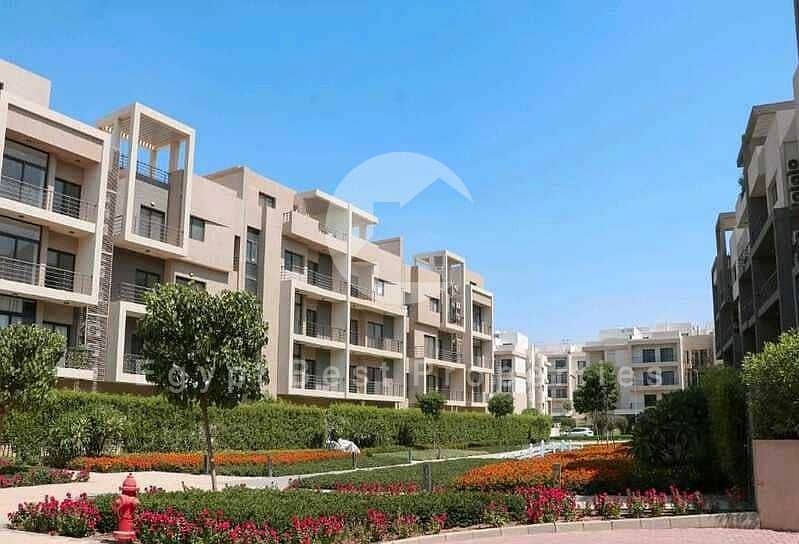 9 مارفيل-نيو-زايد-marville-new-zayed. jpg