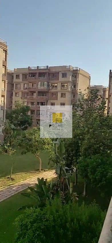11 WhatsApp Image 2025-07-29 at 18.13. 35_f97cf3b4. jpg