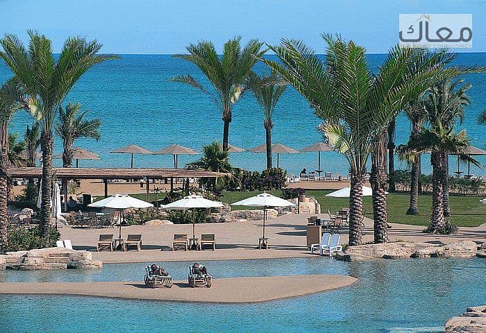 8 stella-di-mare-grand. jpg