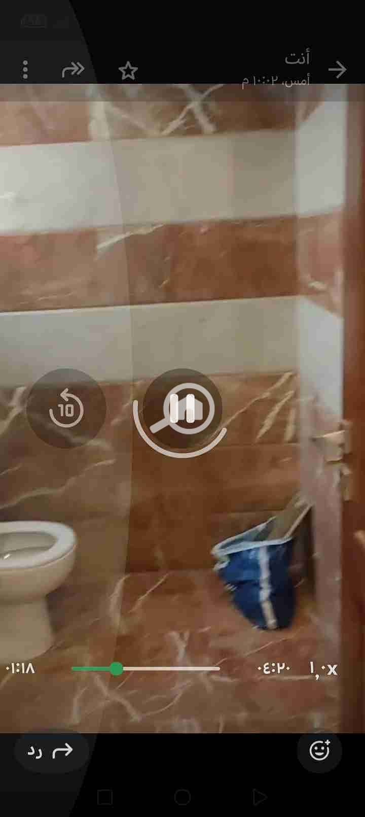 10 1000102249. jpg