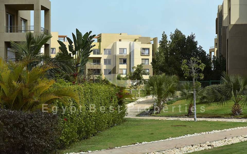 9 1555772785-1. jpg