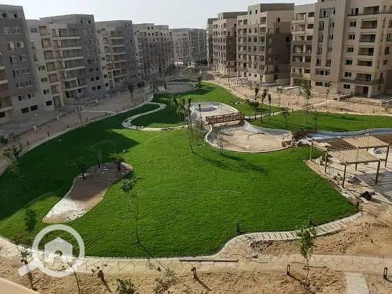 13 WhatsApp Image 2024-09-19 at 13.45. 43_4afc0051. jpg